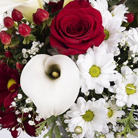 ارسال هدیه به ایتالیا - ارسال گل به ایتالیا-تبریک- ولنتاین- دسته گل ترکیبی- دسته گل رز- گل شیپوری- گل نیلوفر- تبریک تولد