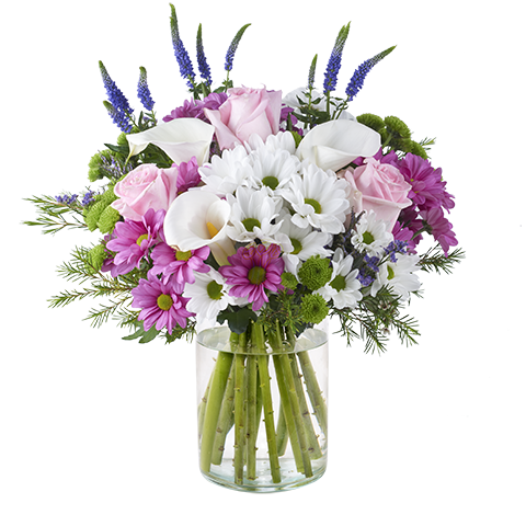 ارسال هدیه به اتریش - ارسال گل به اتریش-تبریک- تبریک تولد - عرض تسلیت - رز صورتی - دسته گل ورونیکا