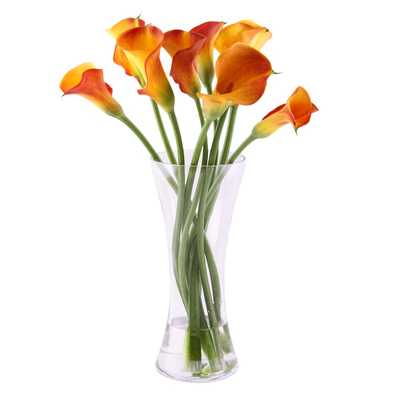 ارسال هدیه به ایتالیا - ارسال گل به ایتالیا-تبریک- ولنتاین- ارکیده- گیاه آپارتمانی - دسته گل نارنجی- دسته گل شیپوری