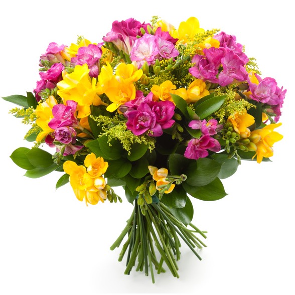 سال هدیه به ایتالیا - ارسال گل به ایتالیا-تبریک- ولنتاین- ارکیده- گیاه آپارتمانی - دسته گل نارنجی- دسته گل فرزیا زرد و بنفش