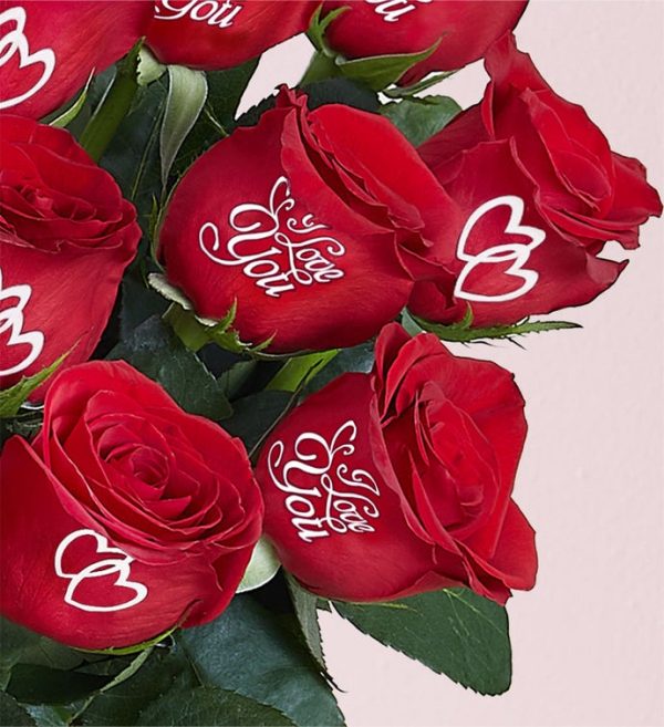 رسال گل به آمریکا - ارسال ل رز - ارسال گل عاشقانه به آمریکا